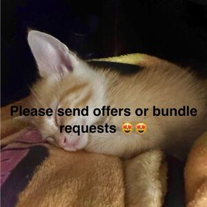 Send offers please